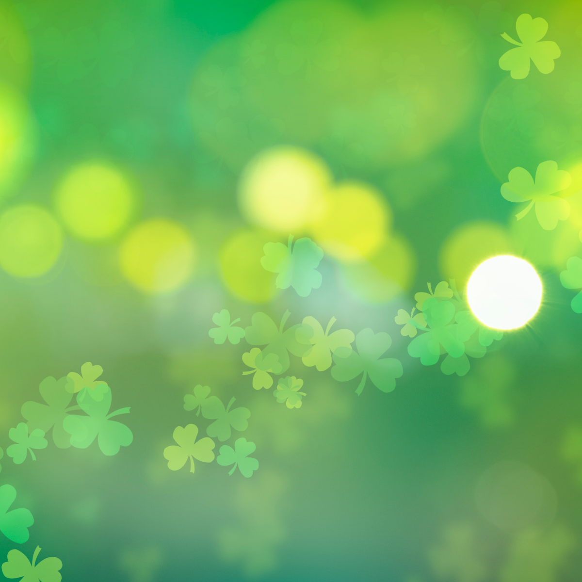 A Lucky Day at Barefoot Hide-A-Way