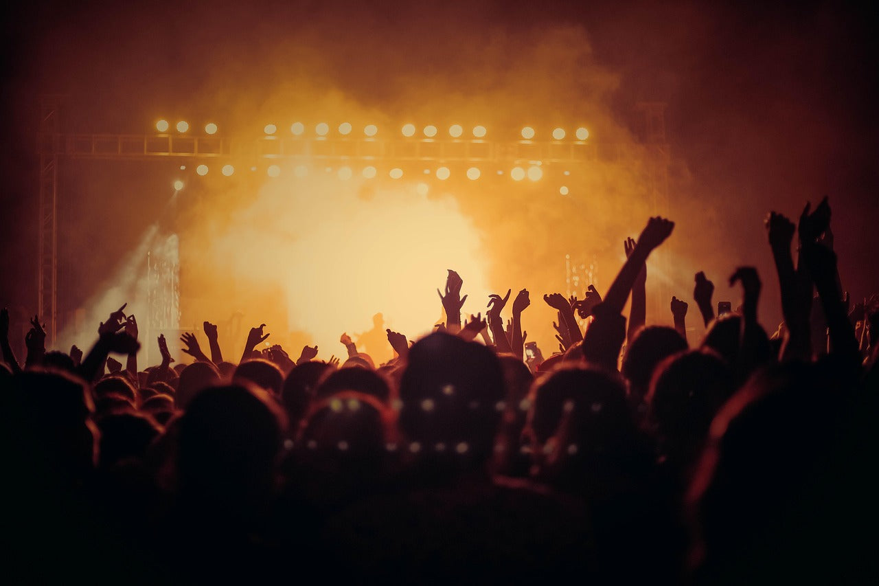 Guests cheer with raised hands at a vibrant live music event, enjoying the electric atmosphere.